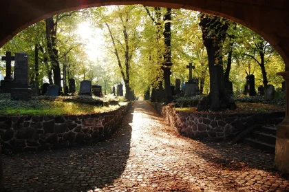 Caminho entre lápides e ciprestres num cemitério histórico, vista ampla