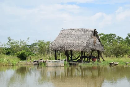 Mãos anónimas seguram sementes numa clareira de floresta tropical ao entardecer