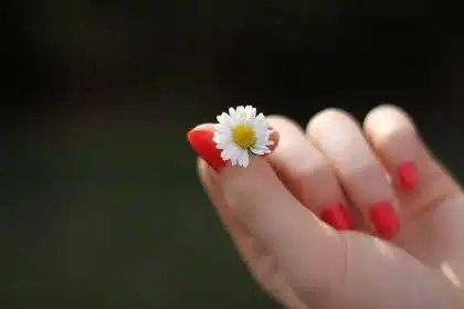 Mãos anónimas a organizar vernizes e ferramentas num estúdio de manicure