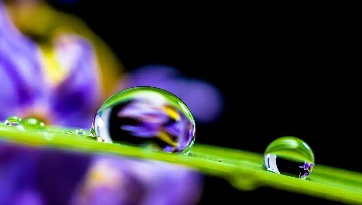 a close-up of a clear droplet on a glass surface with soft reflections, abstract and unbranded