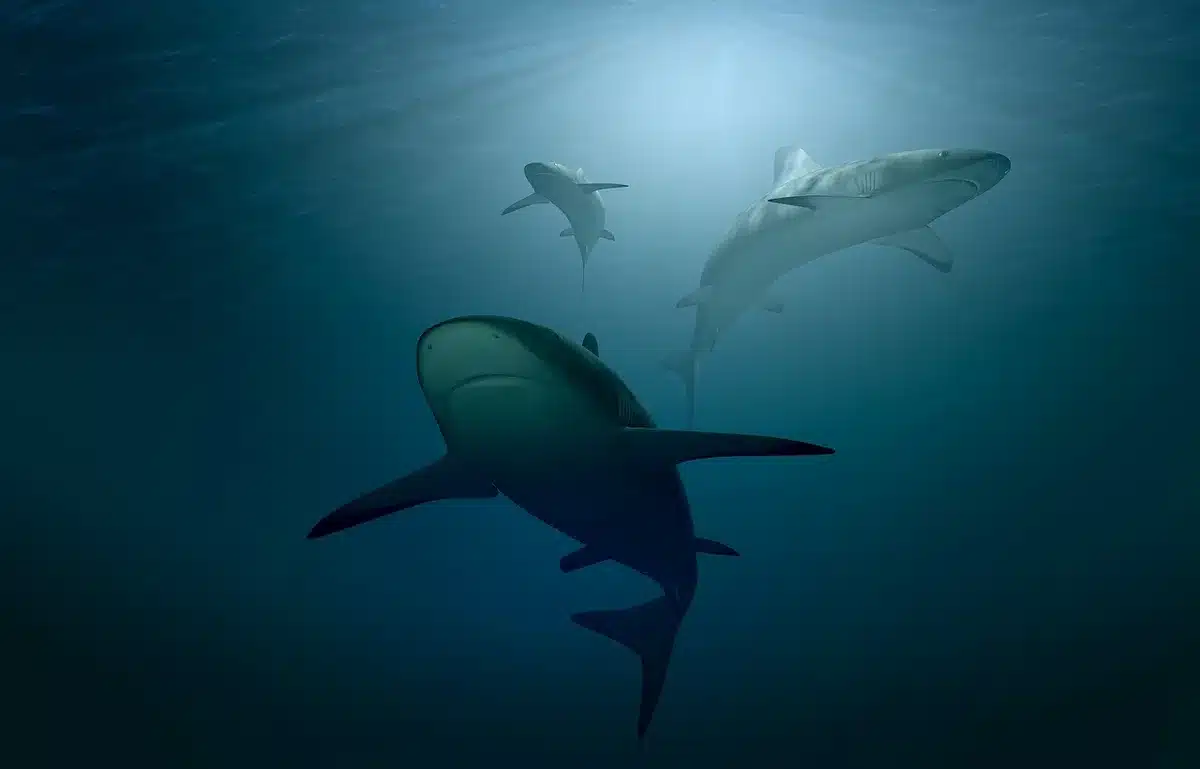 Mãos anónimas a ajustar uma impressora 3D de secretária com filamento e peças falhadas na mesa